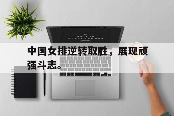 爱游戏平台官方官网-中国女排逆转取胜，展现顽强斗志。