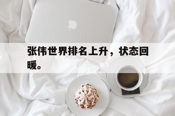 爱游戏平台官方官网-张伟世界排名上升，状态回暖。