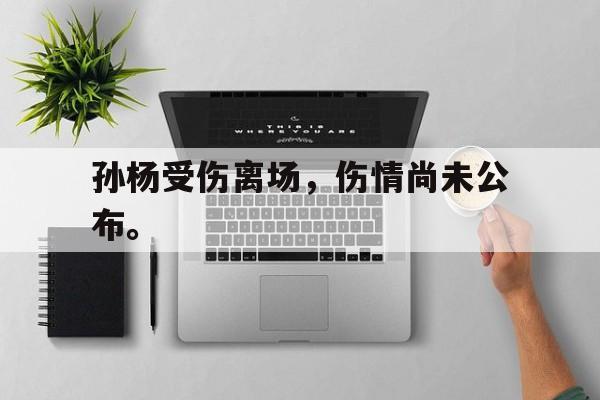 爱游戏入口官网-孙杨受伤离场，伤情尚未公布。