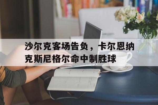 爱游戏入口官网-沙尔克客场告负，卡尔恩纳克斯尼格尔命中制胜球