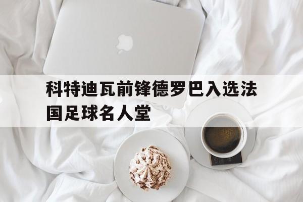爱游戏入口官网-科特迪瓦前锋德罗巴入选法国足球名人堂