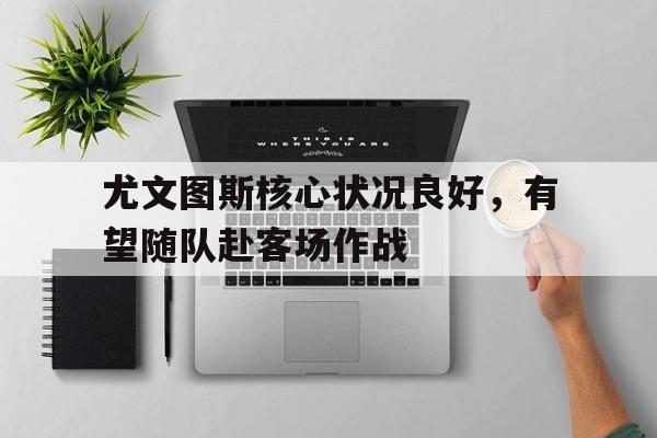 爱游戏入口官网-尤文图斯核心状况良好，有望随队赴客场作战