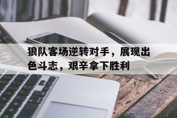 爱游戏入口官网-狼队客场逆转对手，展现出色斗志，艰辛拿下胜利